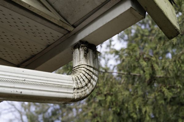 Cost of Roof Drain Replacement in Arlington Heights